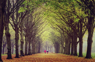 Nami Island Petite France Tour