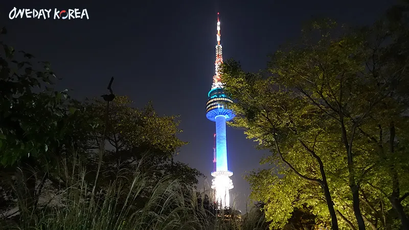 Best Seoul Night View Tour 3