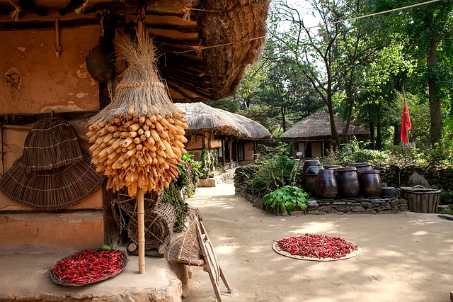 Korean Folk Village and Suwon Fortress Castle Tour