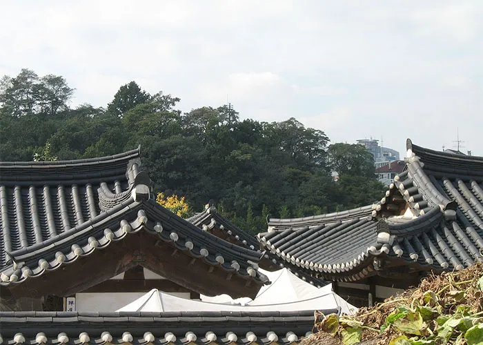 Incheon Cruise Terminal to Seoul Shore Excursion Tour 3